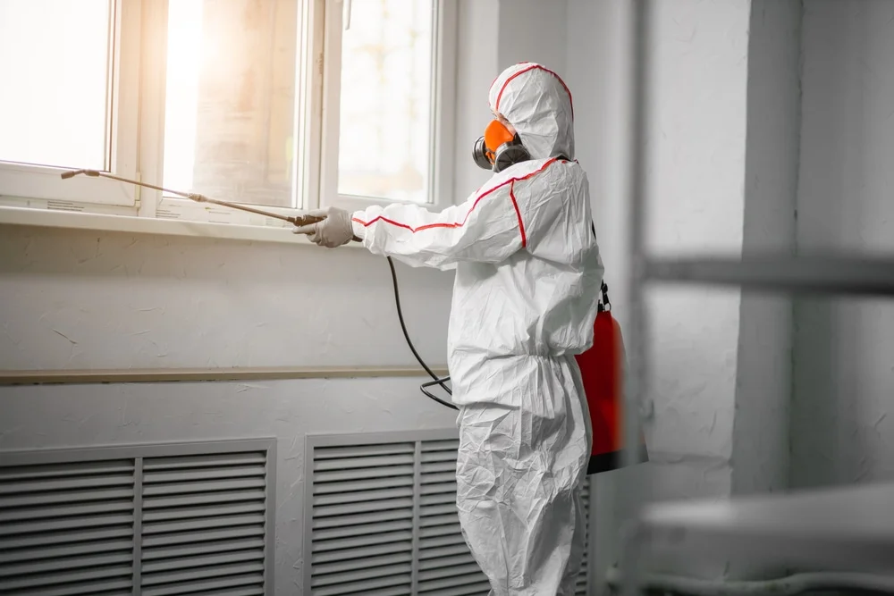 Professional mold remediation services in Washington, MO